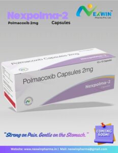 Top 10 Polmacoxib Capsules Brands in India