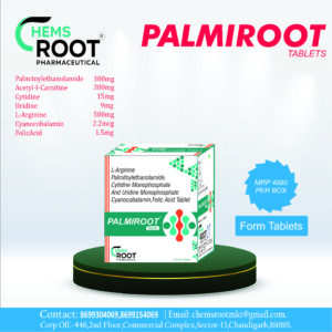 Palmitoylethanolamide Tablet Manufacturer in India