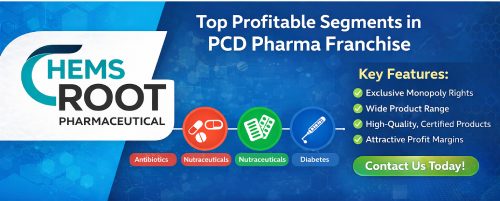 Top Profitable Segments in PCD Pharma Franchise