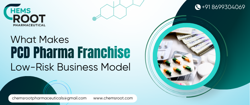 What Makes PCD Pharma Franchise Low-Risk Business Model