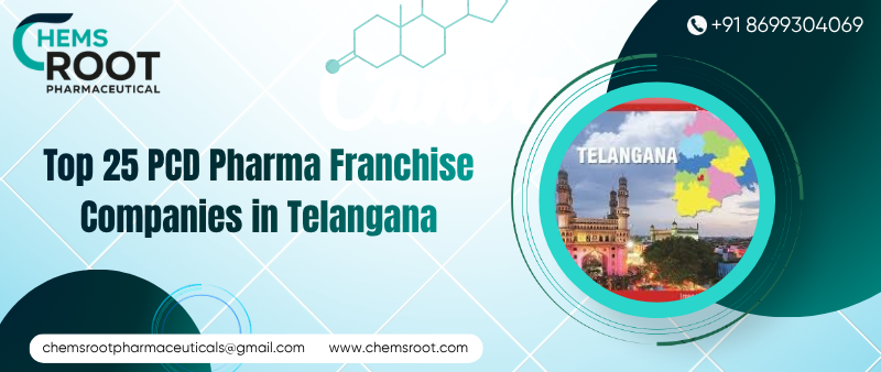 Top 25 PCD Pharma Franchise Companies in Telangana